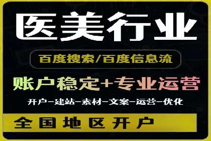 XX行业竞价广告的投放策略与效果分析